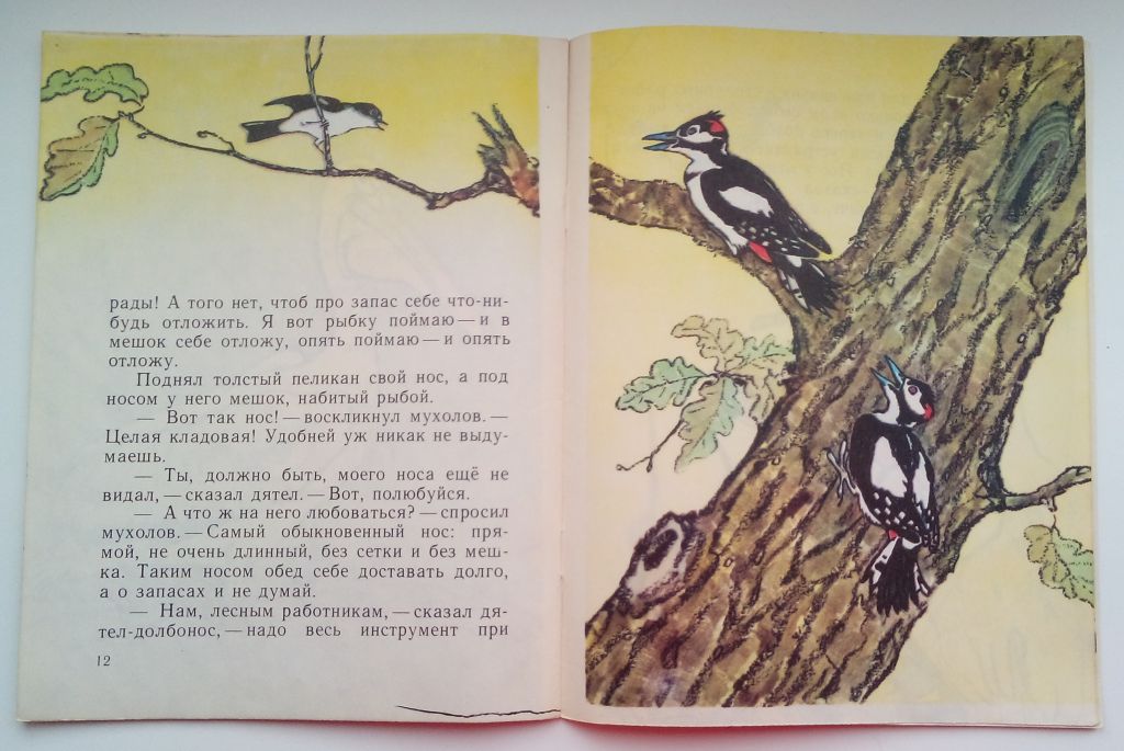 В. Бианки  Чей нос лучше. Рис. Рачева М: Дет. лит. 1981 - фото фото фото 3