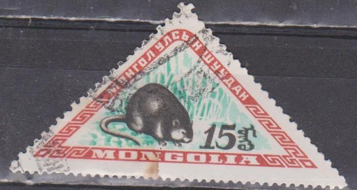 Монголия 1959 фауна - фото фото фото 0
