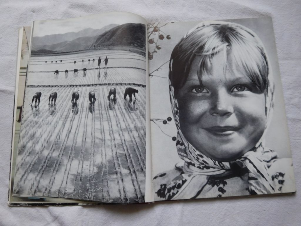 Бифота фотокнига 1961 Берлин ГДР - фото фото фото 3