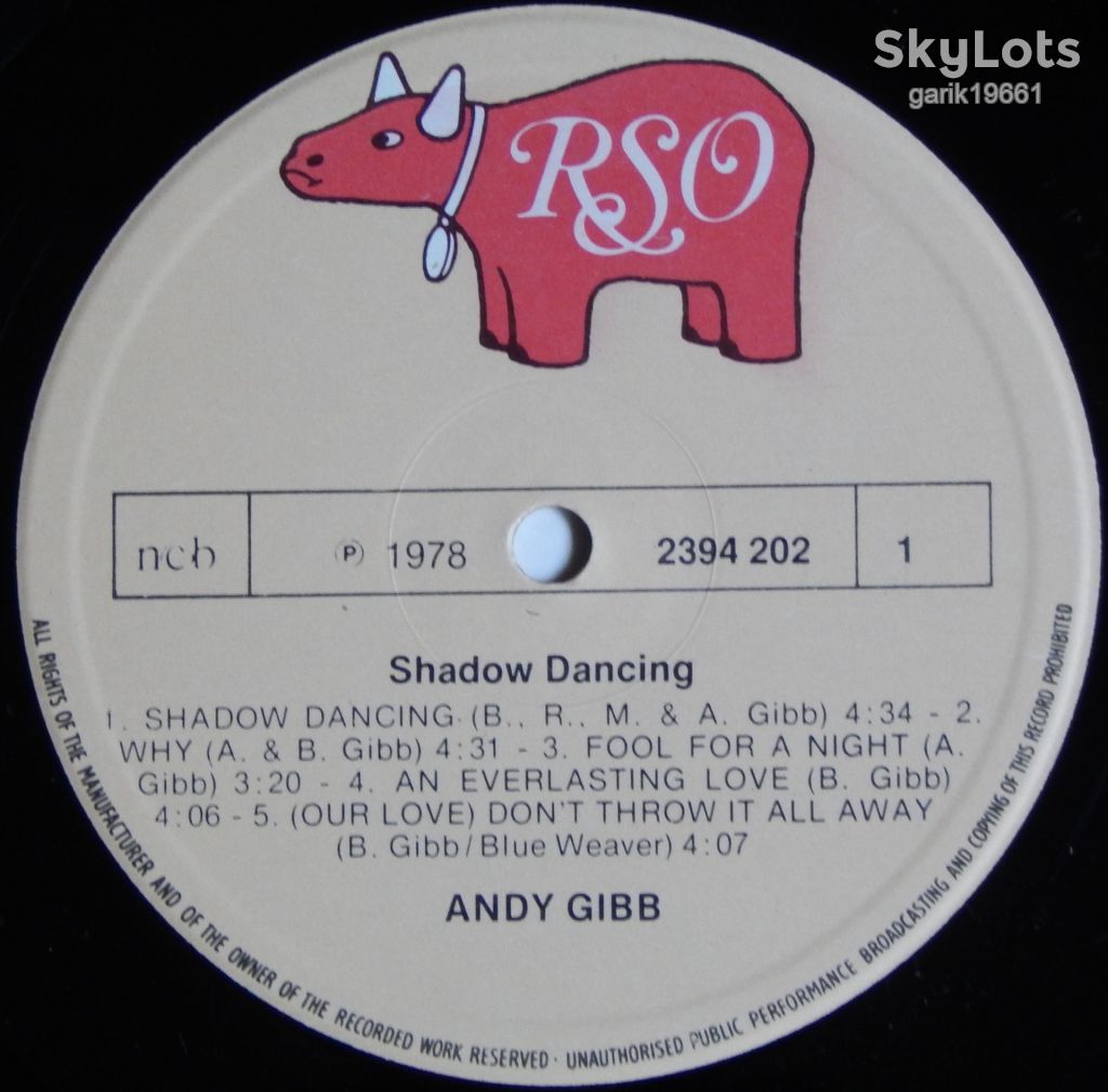 Andy Gibb – Shadow Dancing  (RSO – 2394 202, Scandinavia) EX+/NM- - фото фото фото 2