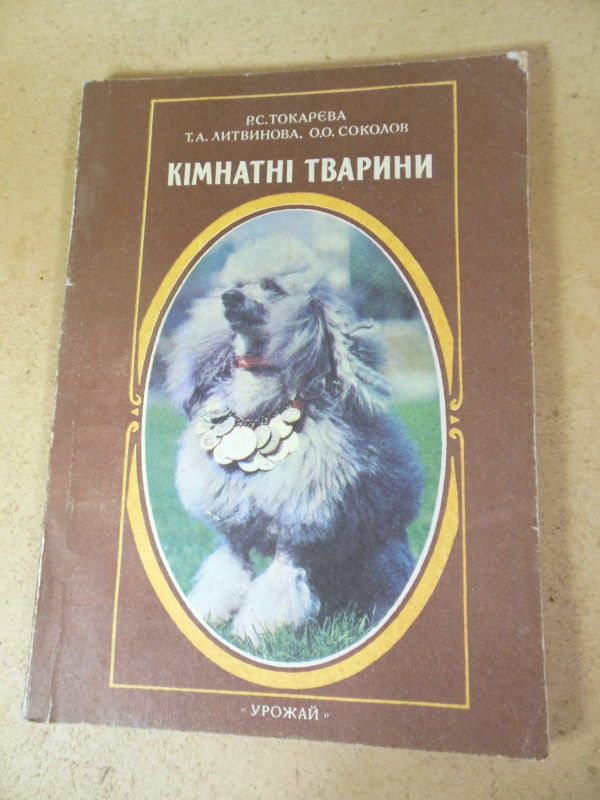 Кімнатні тварини - фото фото фото 0