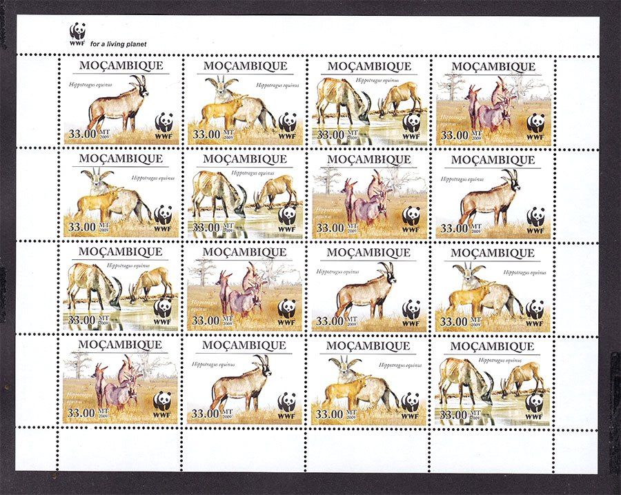 Фауна . Мозамбик  2009 г  **   к/б - WWF  -  сернобык обыкновенный - фото фото фото 0