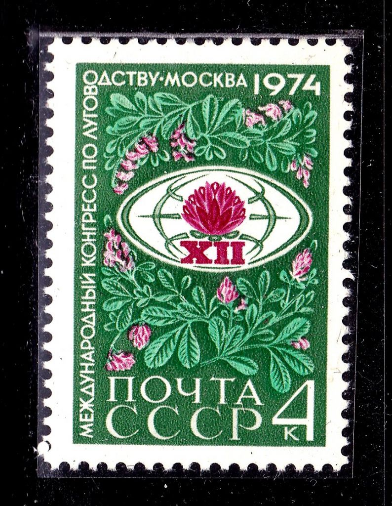 СССР  1974 г   MNH -  флора - фото фото фото 0