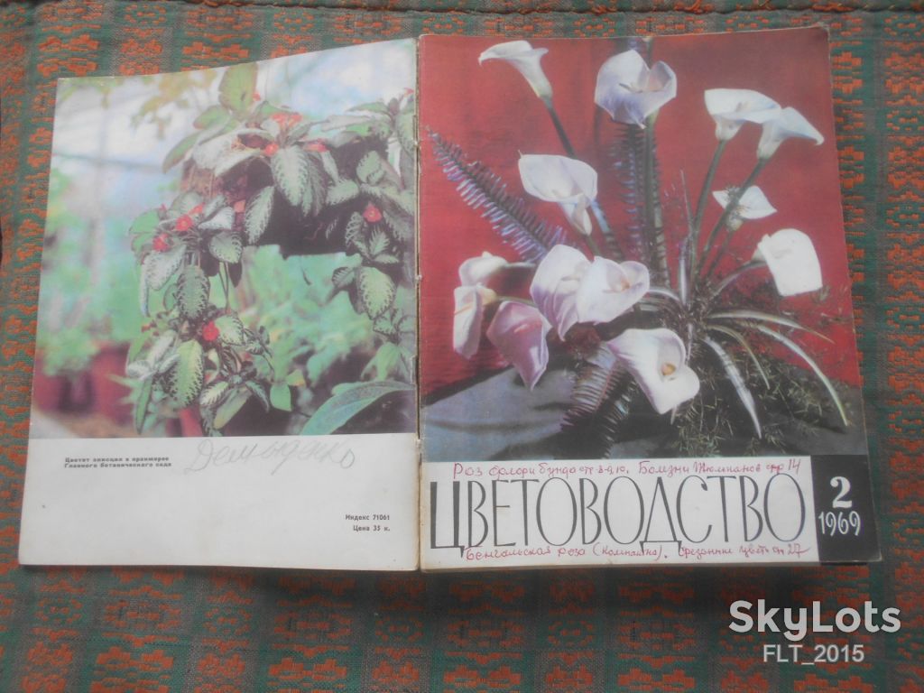 Цветоводство  1969 г.  Годовая - фото фото фото 2