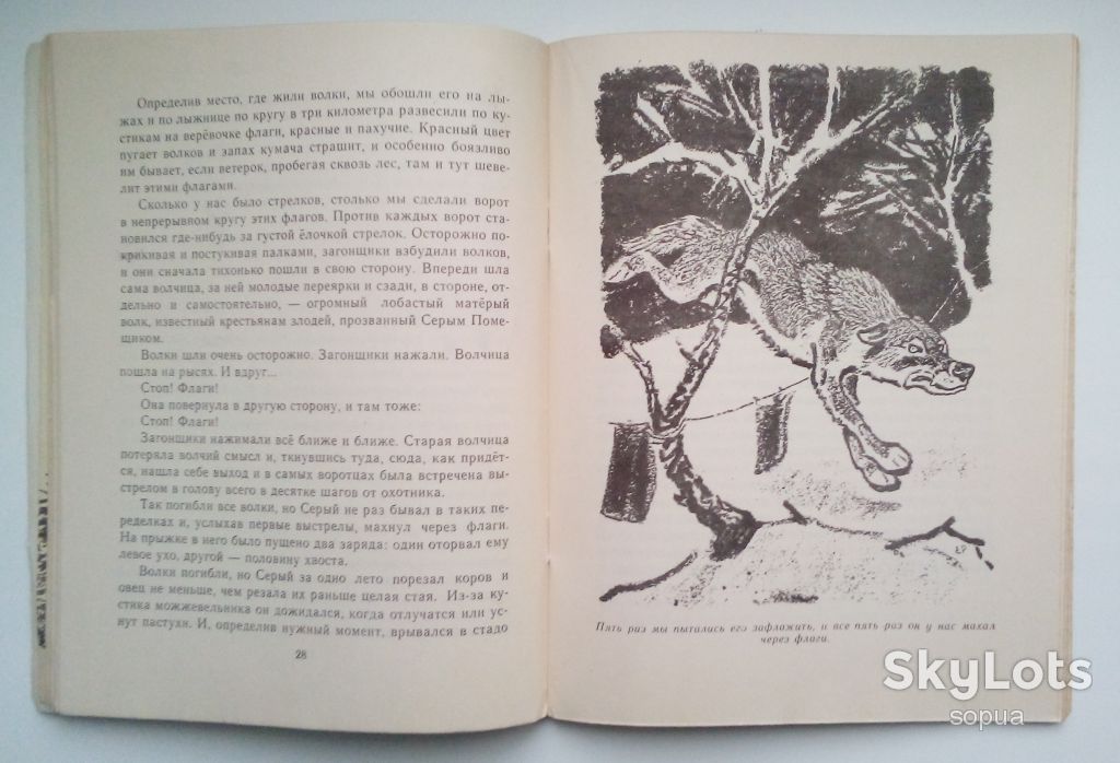 М.Пришвин. Кладовая солнца 1977г.  Дети Книга СССР - фото фото фото 5