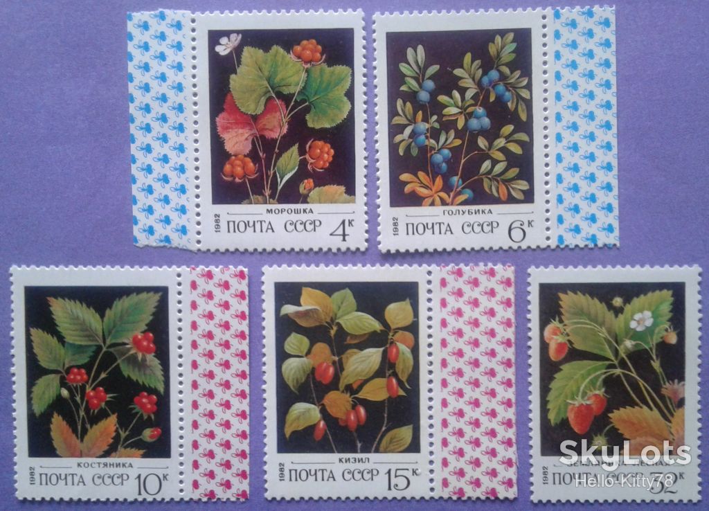 СССР 1982 флора ягоды СК 5205-5209 MNH - фото фото фото 0