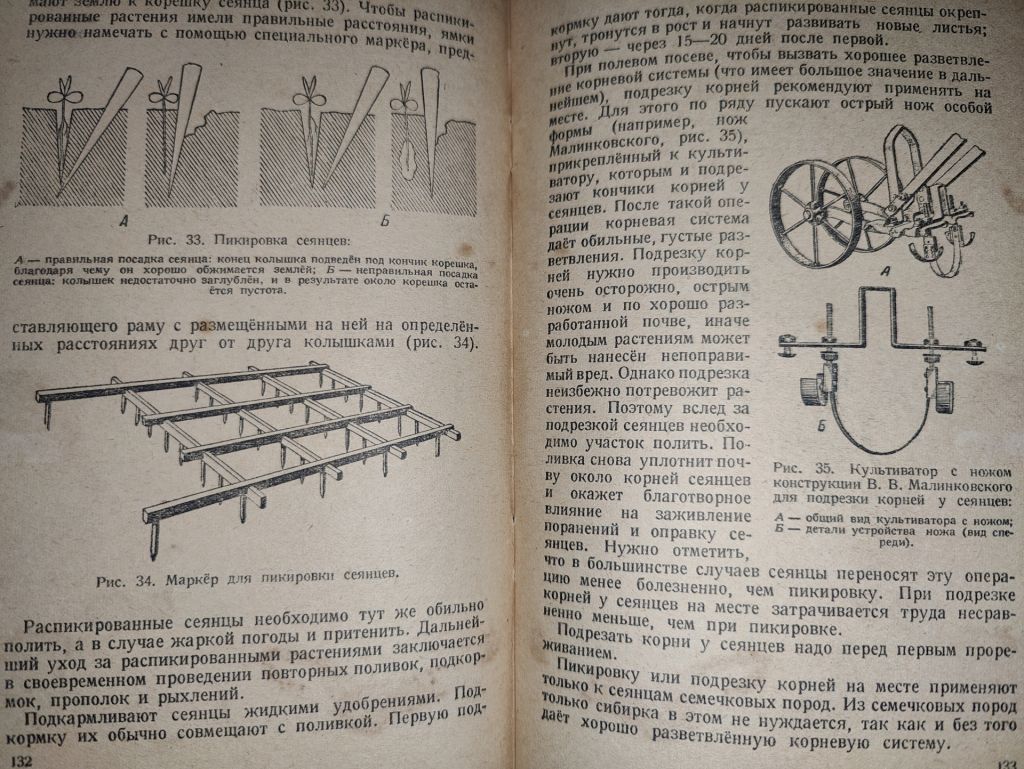 книга: ПЛОДОВОДСТВО И ЯГОДОВОДСТВО. VII - изд. 1947г. - фото фото фото 6