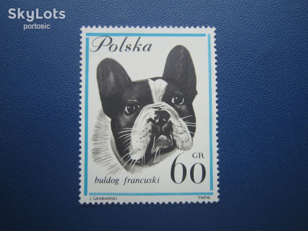 Марка Польща 1963 фауна собака французський бульдог MNH - фото фото фото 0
