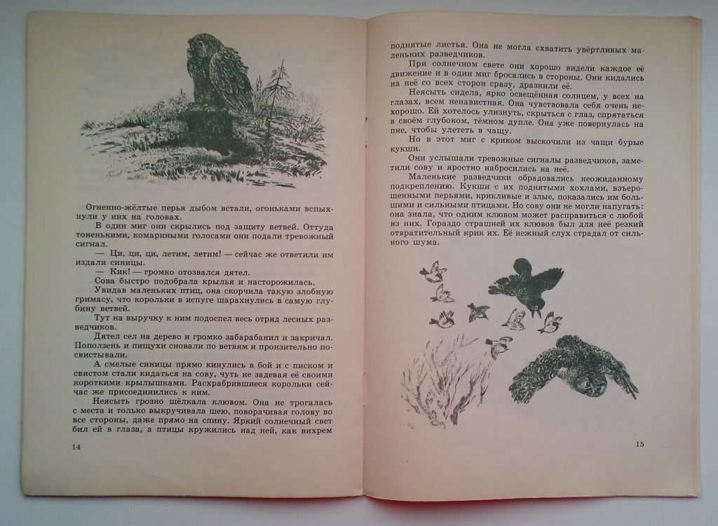 В. Бианки  Лесные разведчики,  1977  Рис. Чарушина - фото фото фото 4