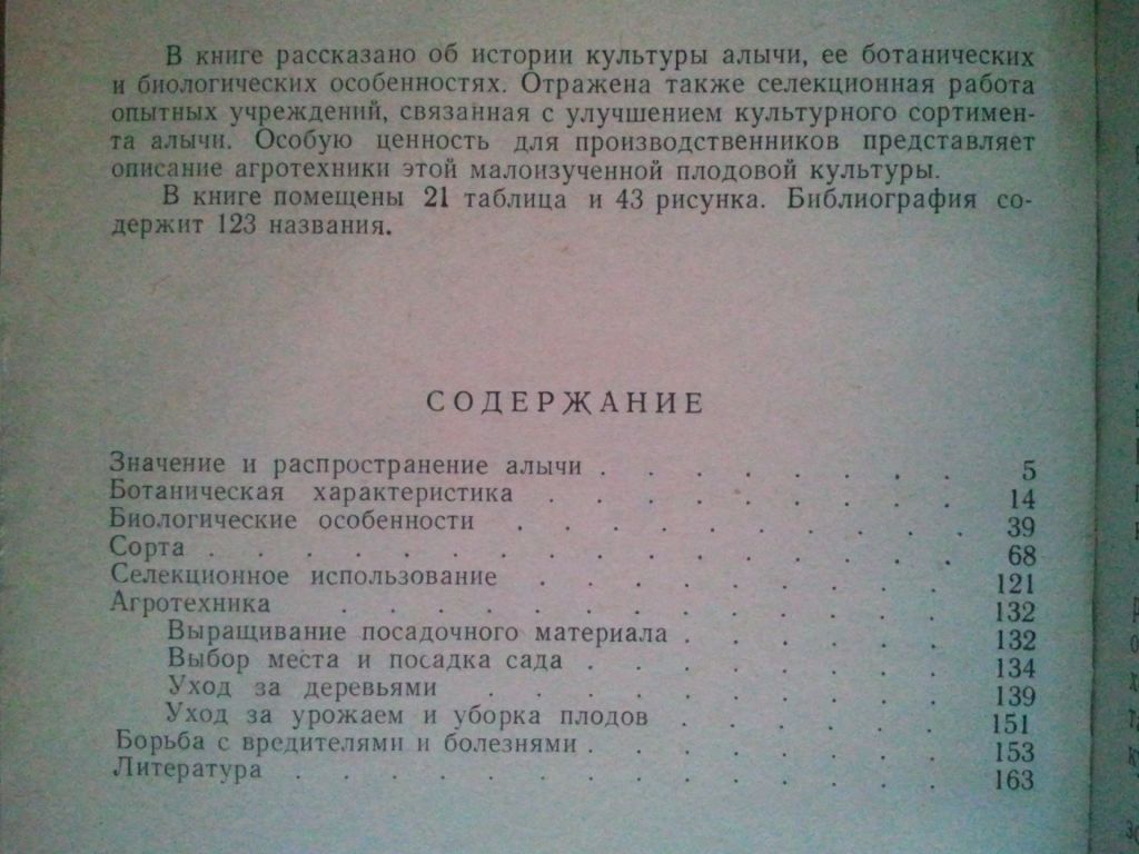 Алыча. 1969 г. - фото фото фото 2