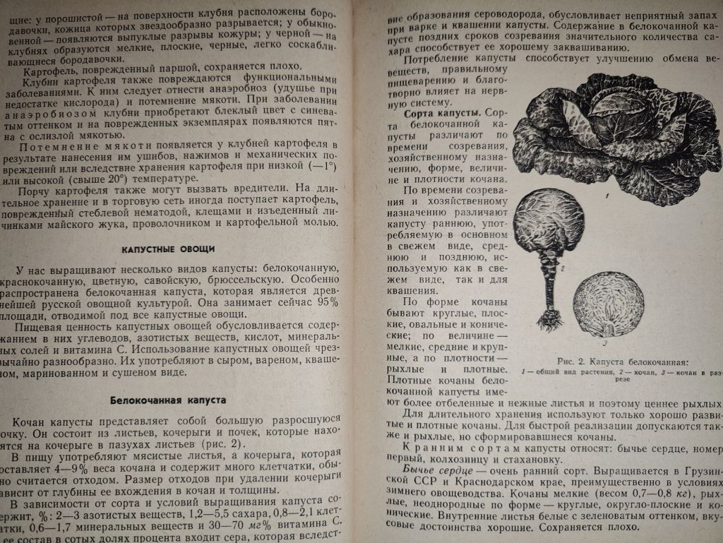 книга: ОВОЩИ, ПЛОДЫ, ВИНА, СОКИ 1967г.; - фото фото фото 4