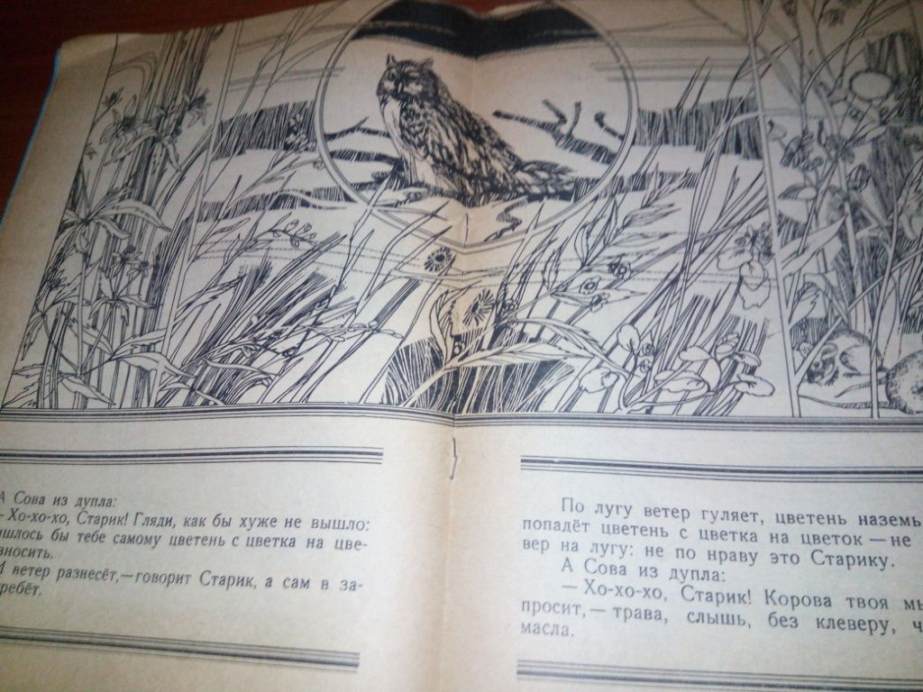 Виталий Бианки СОВА  (Книжка-раскраска) - фото фото фото 4