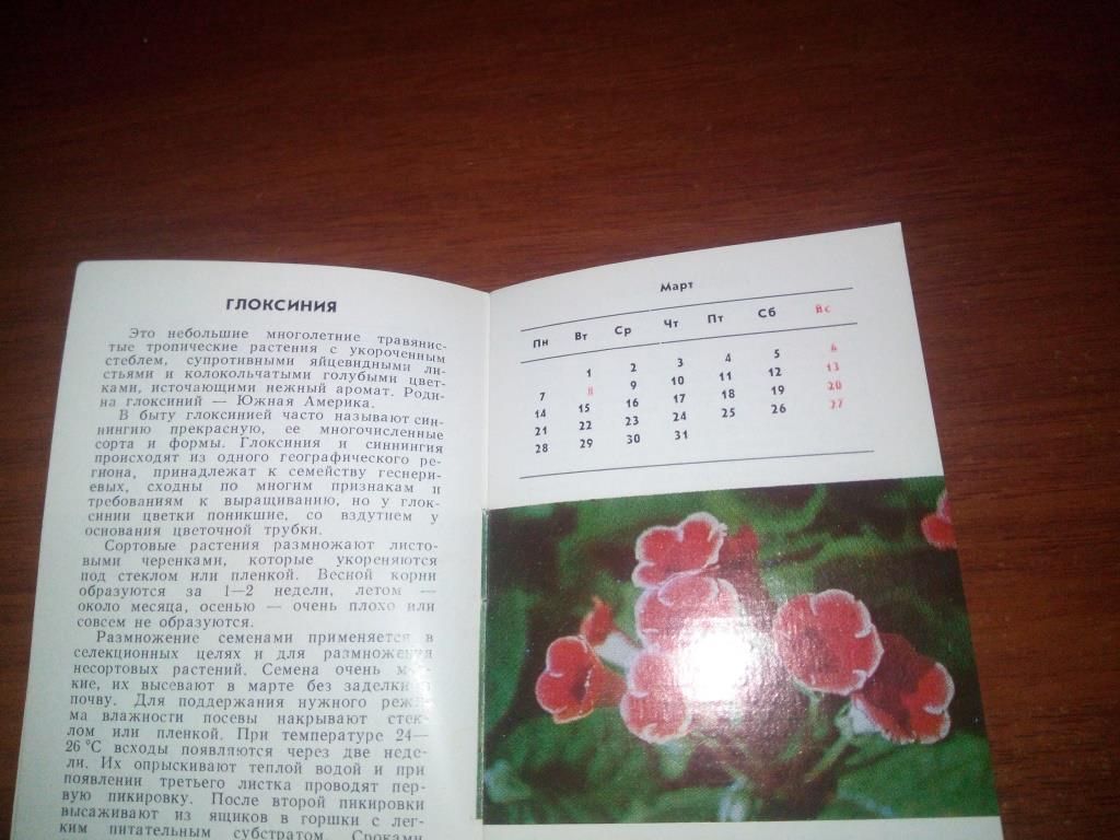 Календарь цветовода - фото фото фото 3