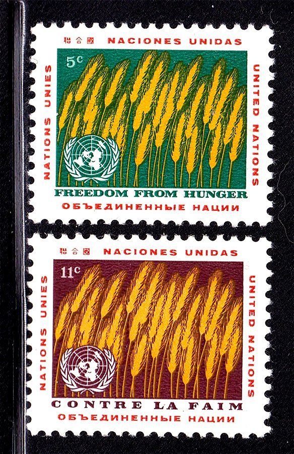 ZM ООН 1967 г  MNH - флора - фото фото фото 0