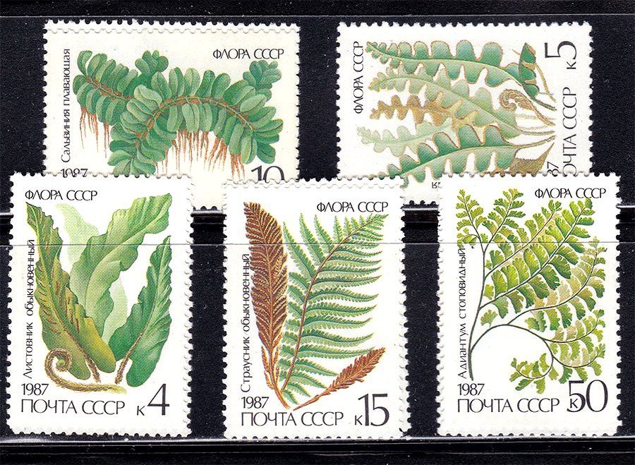 СССР  1987 г   MNH -  флора - фото фото фото 0