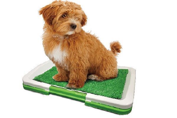 Туалет для собак Puppy Potty Pad MH-872 - фото фото фото 1