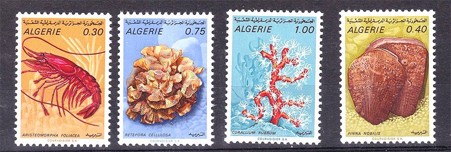 Фауна  Алжир 1970 г MNH - - фото фото фото 0