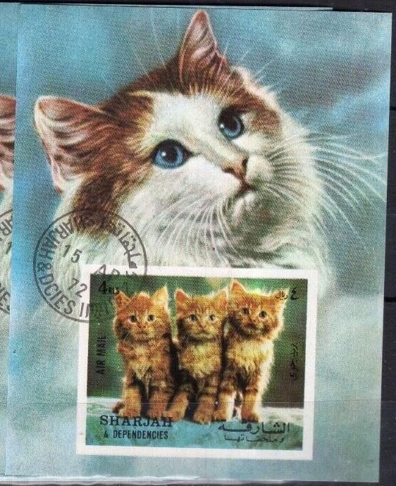 Шарджа Фауна Коты 1972 - фото фото фото 0