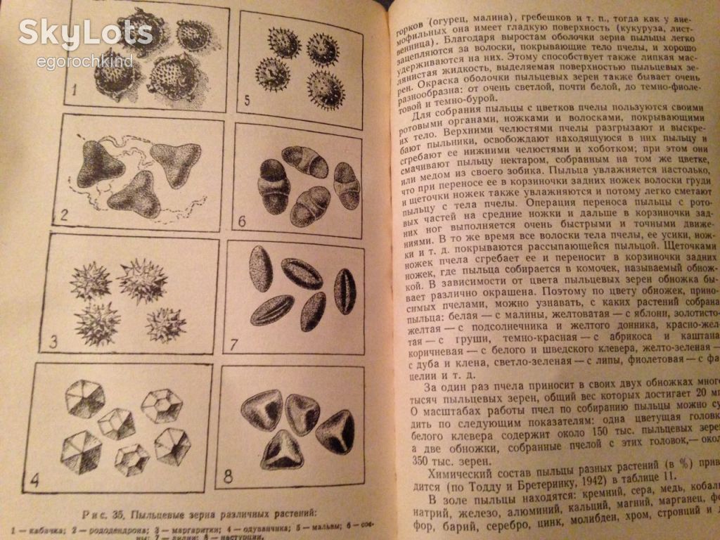 книга: ПЧЕЛА И ЗДОРОВЬЕ ЧЕЛОВЕКА 1962г. - фото фото фото 8