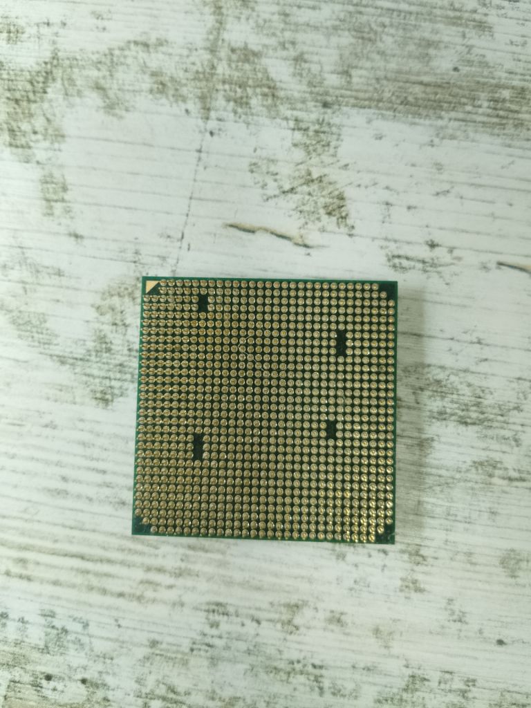 AMD Sempron 145 /2,80GHz/1M/2000MHz  (SDX145HBK13GM) sAM3  #67 - фото фото фото 1