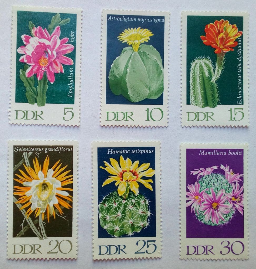 ГДР 1970 Кактусы, флора, MNH - фото фото фото 0