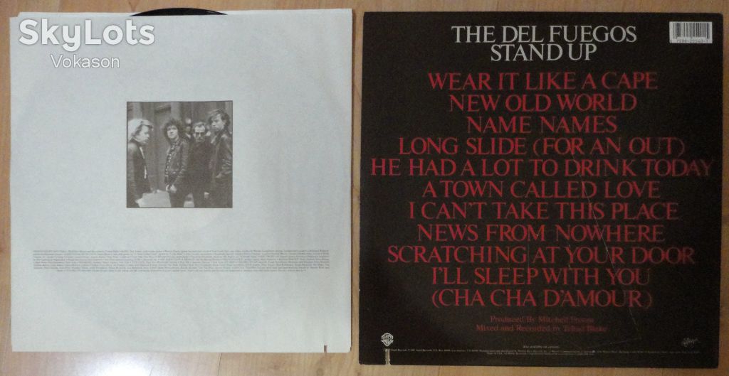 The Del Fuegos - Stand Up  NM/EX+/Mint - фото фото фото 2