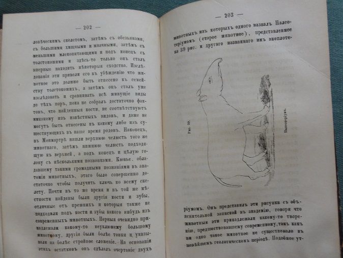 Геологические очерки. Л. Агассиса. 1867г - фото фото фото 6