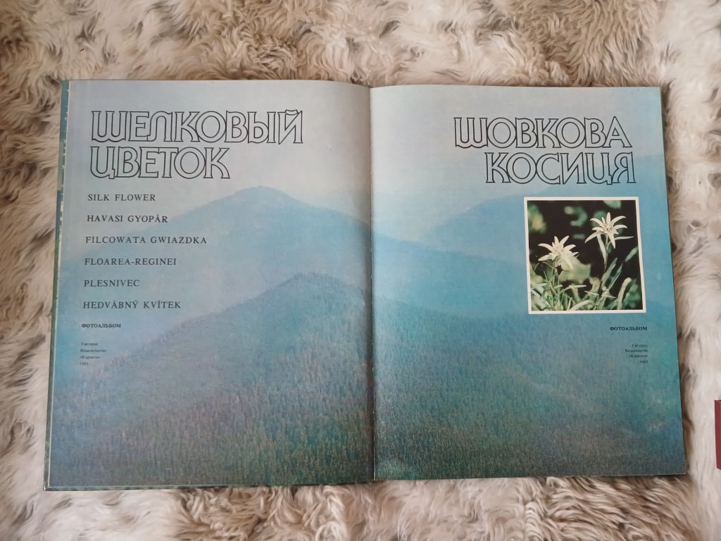 Шовкова косиця - фото фото фото 1