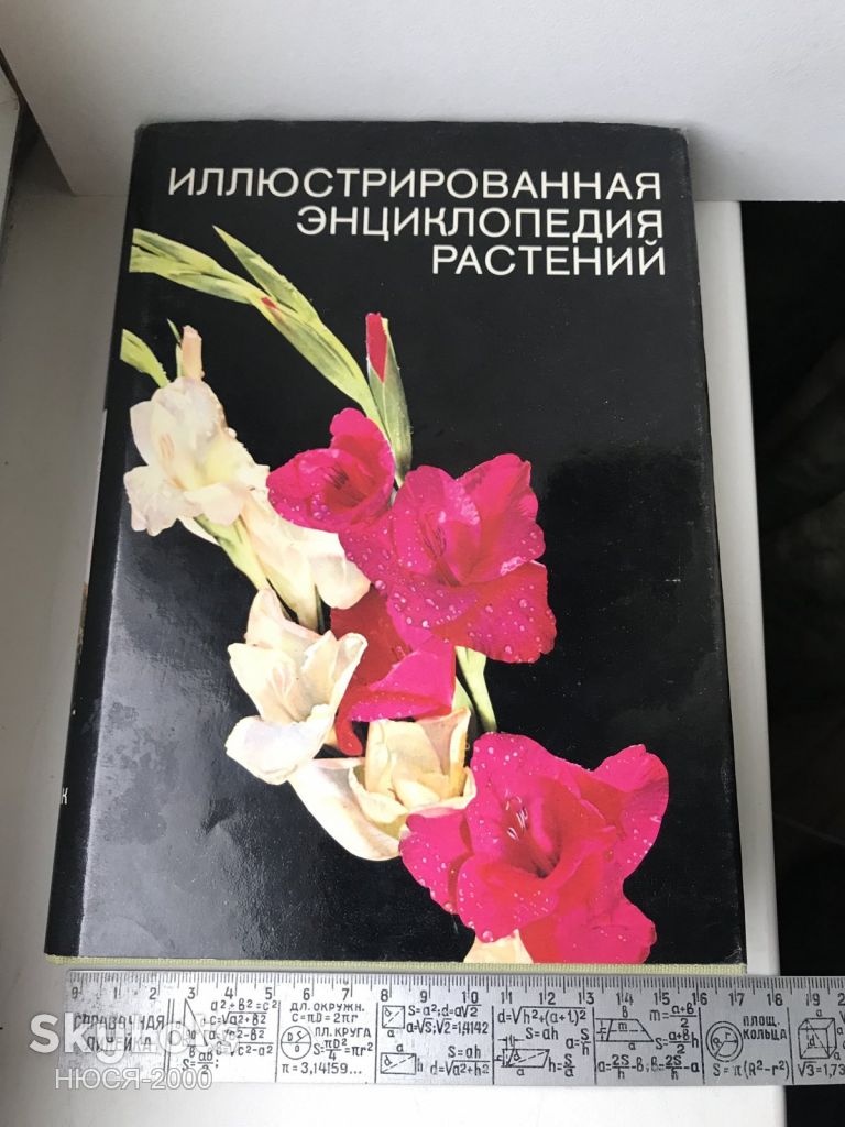 Ф.Новак- Ілюстрована енциклопедія рослин - фото фото фото 0