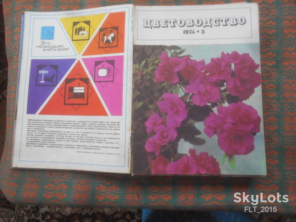 Цветоводство  1974 г.  Годовая - фото фото фото 2