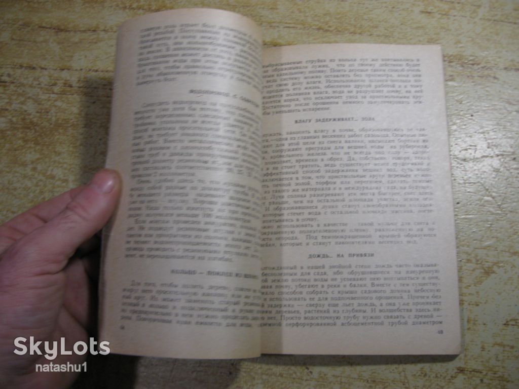 сад у дома 1992г - фото фото фото 4
