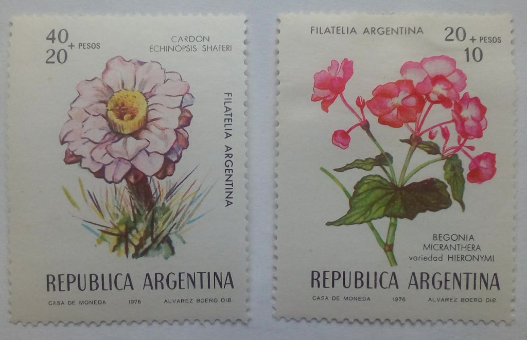 Аргентина 1976 Цветы, MLH  (КЦ=3 евро) - фото фото фото 0
