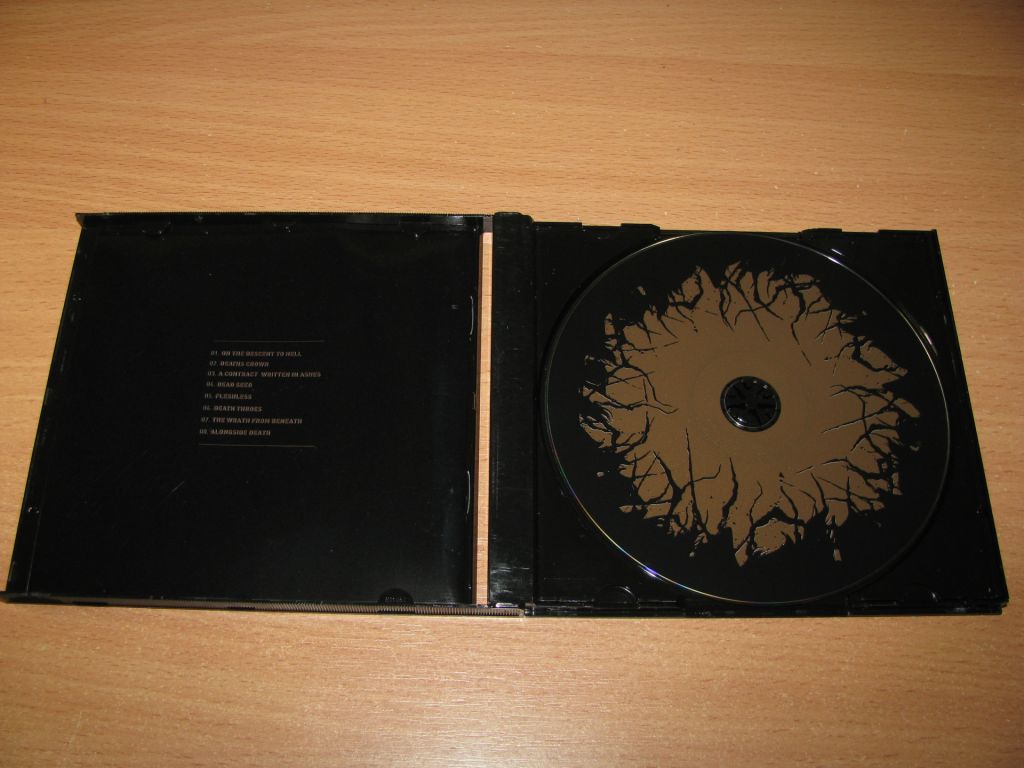 THE BLACK -  Alongside Death  (2009 Pulverised Records 1st press) - фото фото фото 1