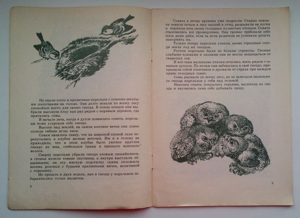 В. Бианки  Лесные разведчики,  1977  Рис. Чарушина - фото фото фото 3