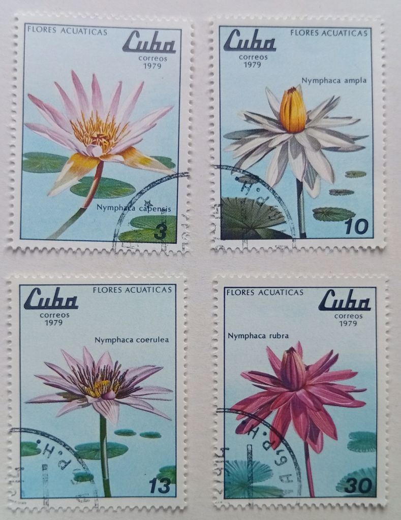 Куба 1979 Цветы, гашеные - фото фото фото 0