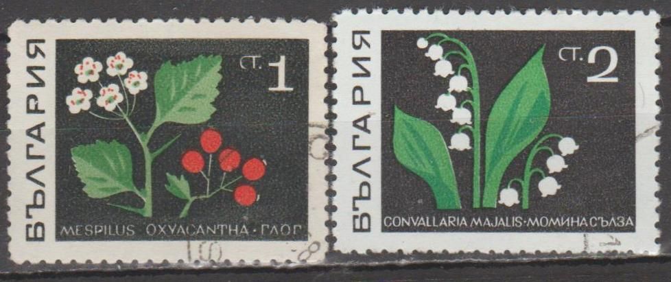 Болгария Болгарія 1969 флора - фото фото фото 0