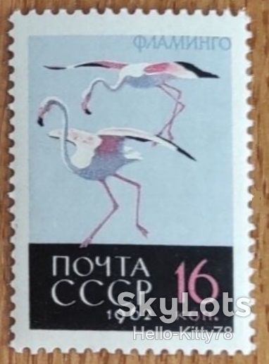 СССР 1962 фауна птицы СК 2707 MNH - фото фото фото 0