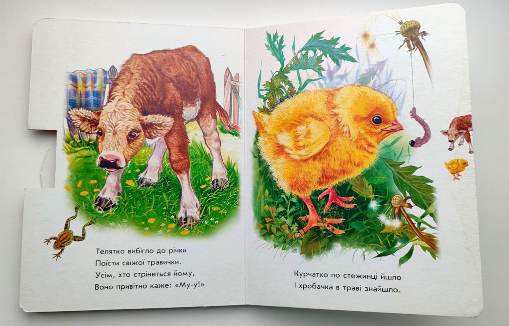 Олеся Квітка. На подвір'ї. Малятам про звіряток. Книжка - картонка. Харків: Ранок 2018р. - фото фото фото 5