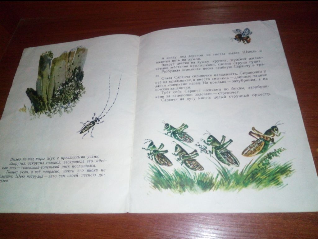 Виталий Бианки КТО ЧЕМ ПОЁТ  (Рисунки Чарушина) - фото фото фото 6