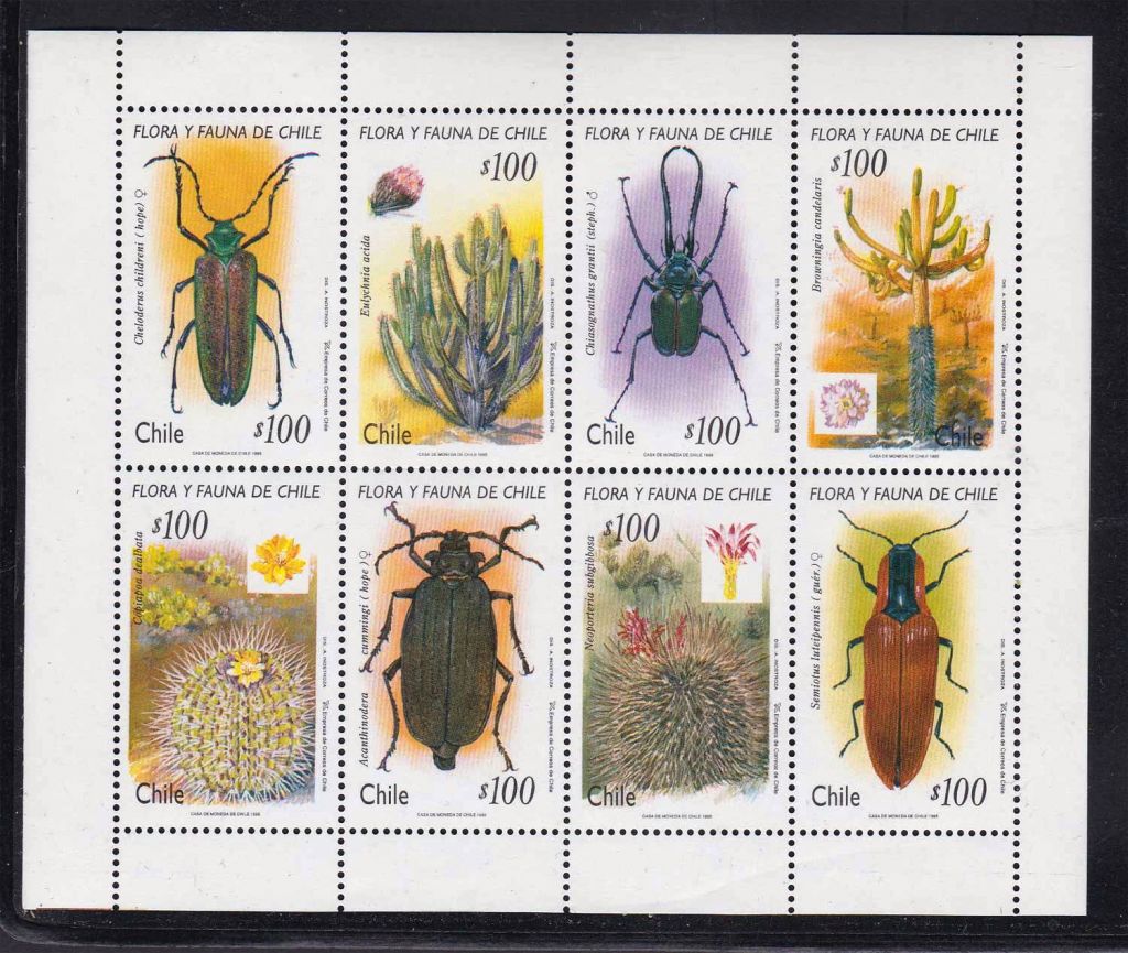 Фауна .  Чили  1995 г  MNH - - фото фото фото 0