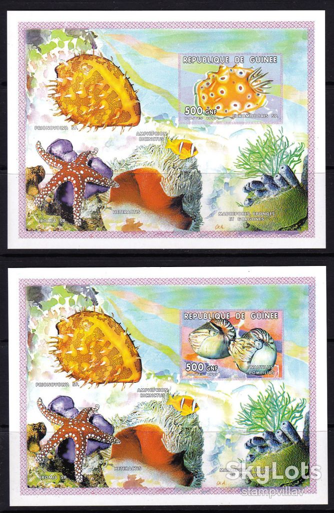 Гвинея,рыбы,дельфины,ракушки,6 зубц. и беззубц.блоков+2 м/л - фото фото фото 7