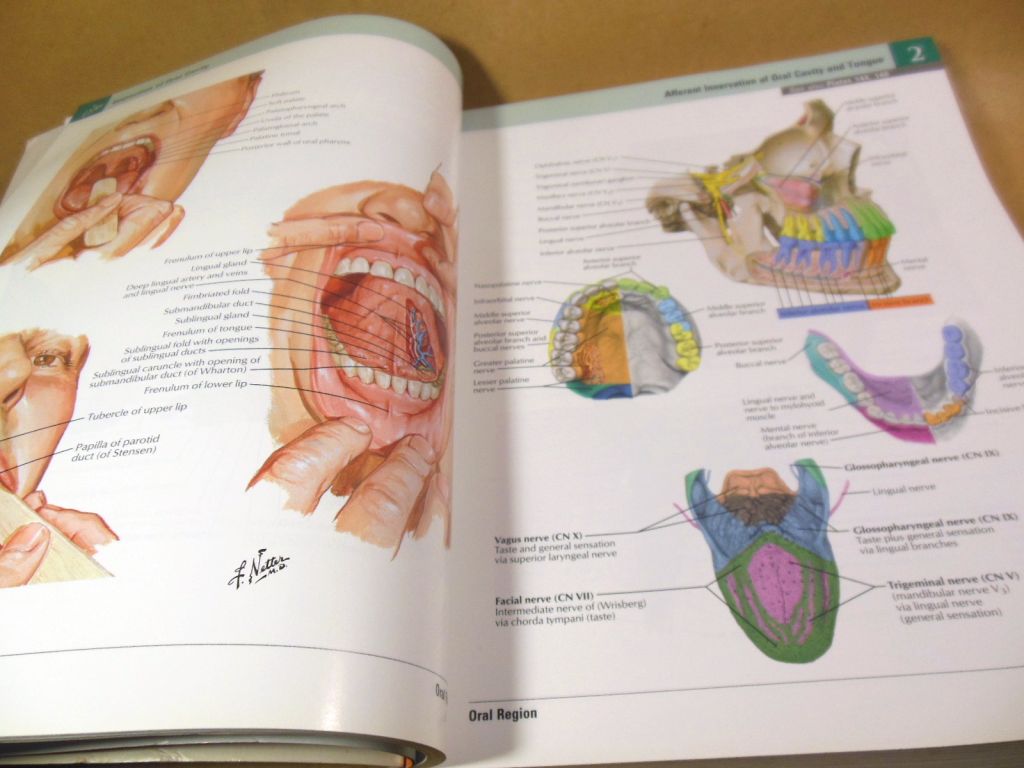 Frank H. Netter. Atlas of Human Anatomy  (7th Edition) - фото фото фото 2