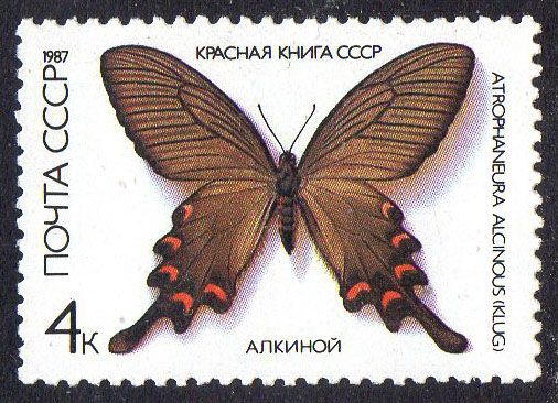 СРСР 1987 – Метелики внесені до Червоної книги СРСР ** - фото фото фото 0