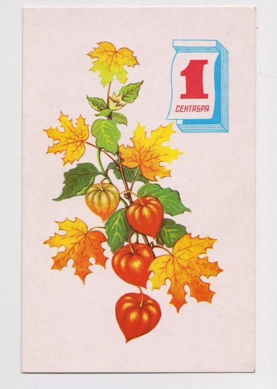1 СЕНТЯБРЯ  1971 г.  СОКОЛОВА  чистая  - фото фото фото 0