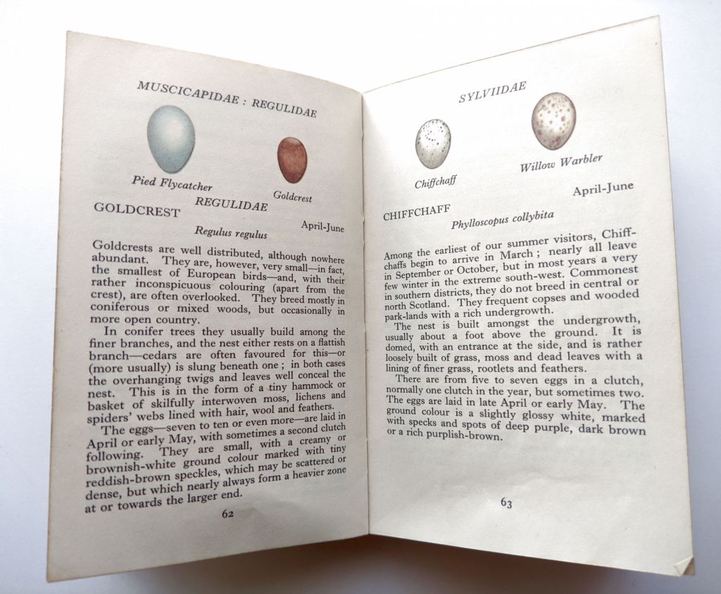 The Observer's Book of Birds' Eggs. H.D. Swain 1960 - фото фото фото 4