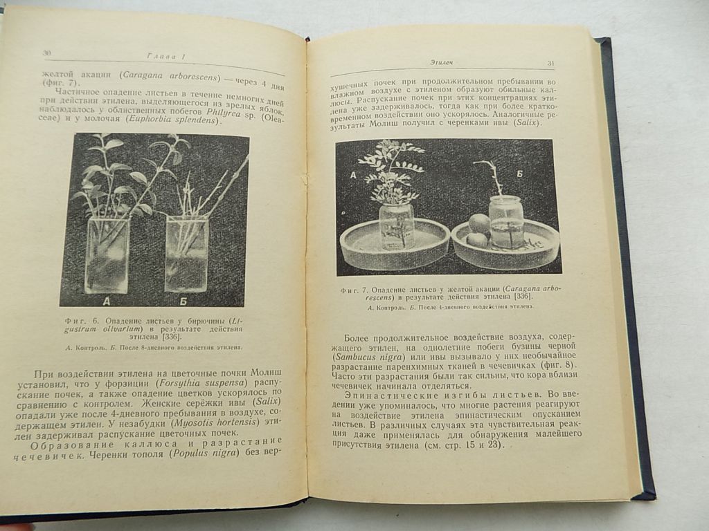 Книга Г.Грюммер Взаимное влияние высших растений - аллелопатия - фото фото фото 3