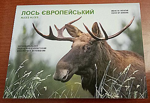 Сувенірна упаковка Лось європейський    (без монети) - фото фото фото 0