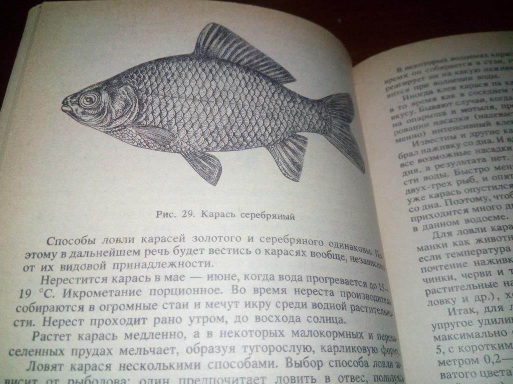Настольная книга рыболова - фото фото фото 3
