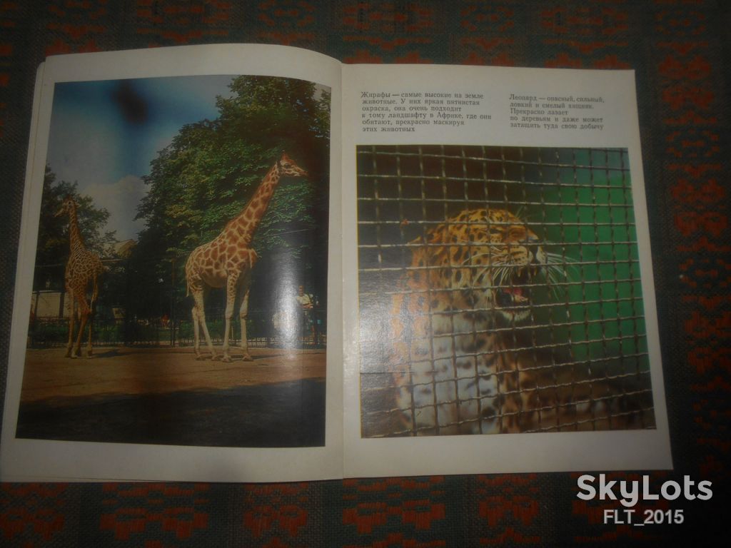 По Калининградскому  зоопарка    1974 г. - фото фото фото 4