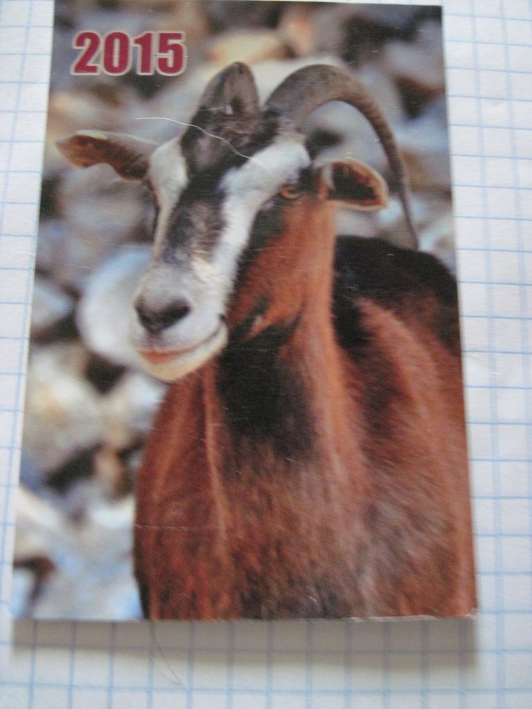 Календарик. "Год козы" 2015 - фото фото фото 3